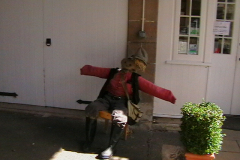 358931_IMGA0185
