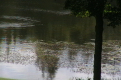 358934_IMGA0189