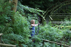 355385_West-Lothian-Archers-Field-Round-19th-July-2015-066