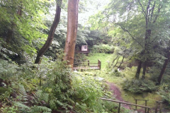 334752_IMAG0220_ZOE003