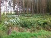 325898_aea8bd923593dbc54a1838527f83836b